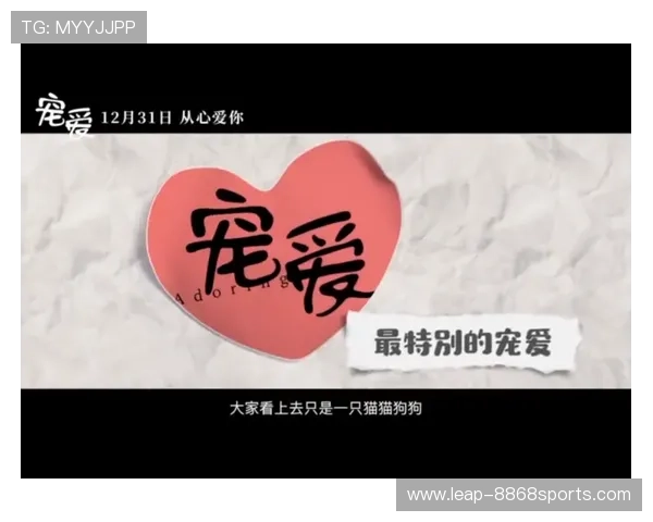 足球明星宠爱猫咪，明星与爱宠之间的温馨故事揭秘